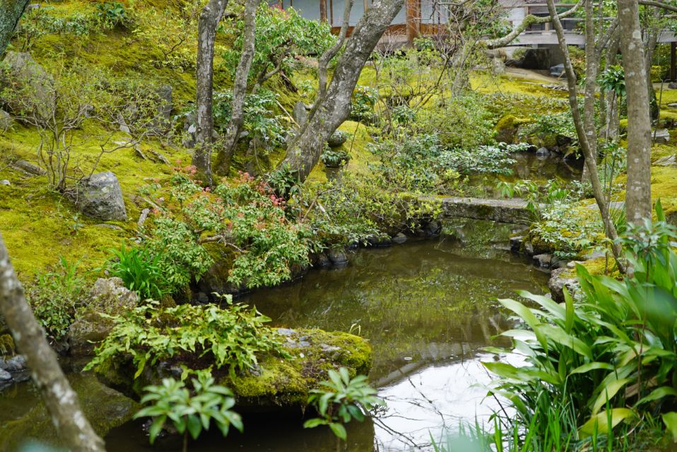 Kyoto: 5-Hour Arashiyama Walking Tour - Cancellation Policy