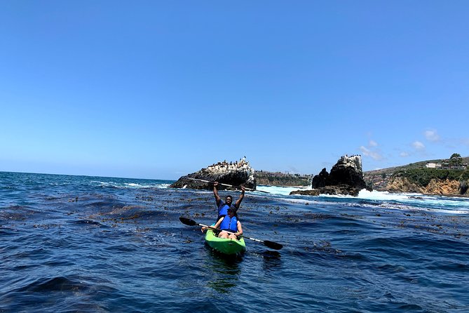 Laguna Beach Open Ocean Kayaking Tour With Sea Lion Sightings - Sum Up