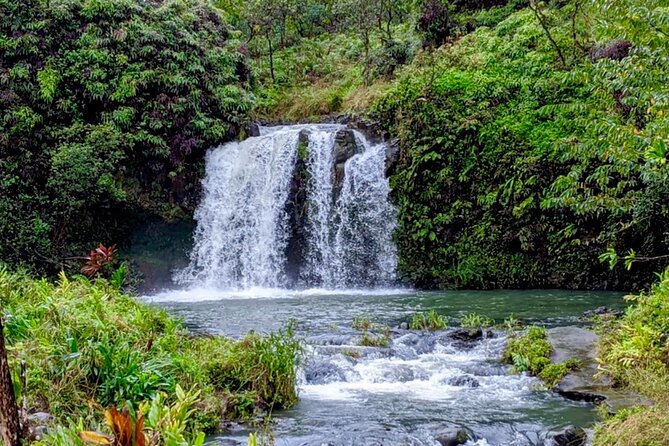 Lahaina Small-Group Road to Hana Tour  - Maui - Tour Guide Experience