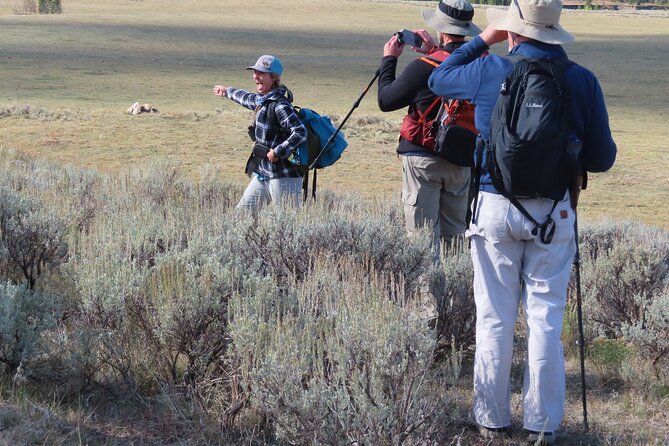 Lamar Valley Safari Hiking Tour With Lunch - Weather-Dependent Considerations