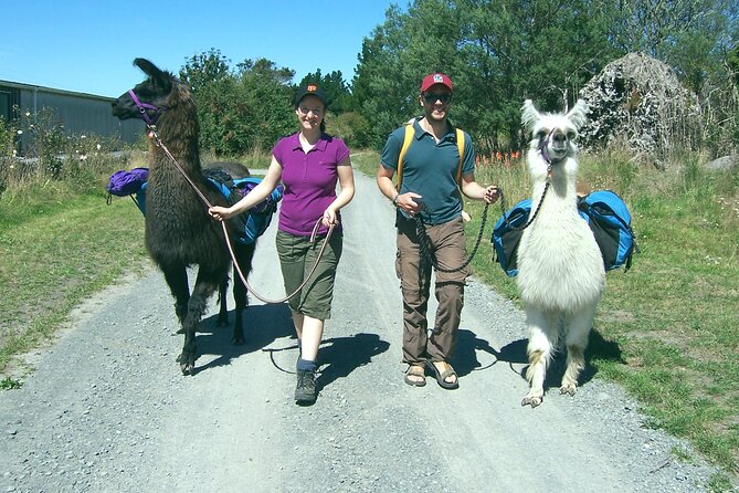 Llama Trek (Taster) - Kowhai River Valley and Native Woodland Tour - Packing List