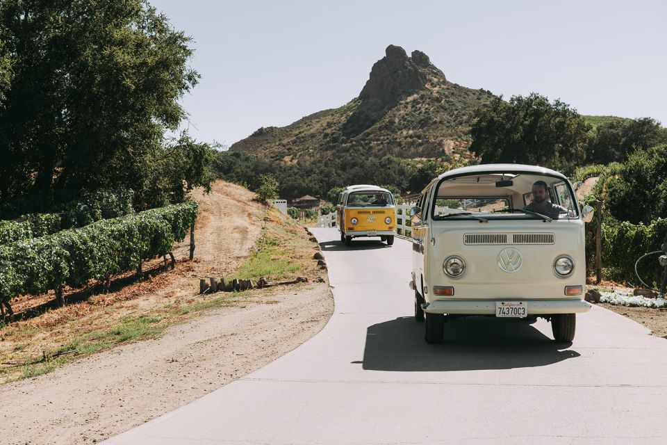Los Angeles: Private Vintage VW Bus Tour in Malibu - Sum Up