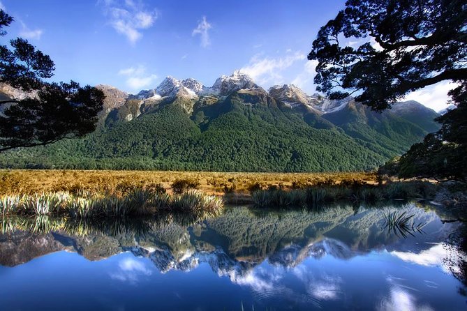 Luxury Milford Sound Coach and Scenic Cruise - Sum Up