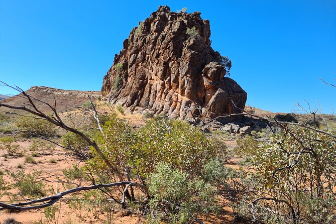 MacDonnell Ranges and Alice Town Highlights Full-Day Tour - Common questions