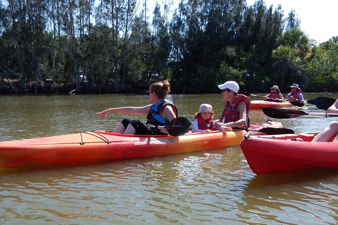 Manatee and Dolphin Kayaking Encounter - Sum Up