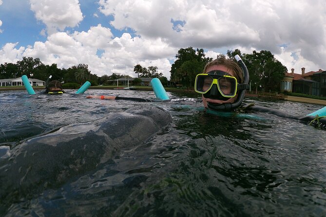 Manatee Snorkeling Crystal River Florida Semi-Private - Traveler Feedback