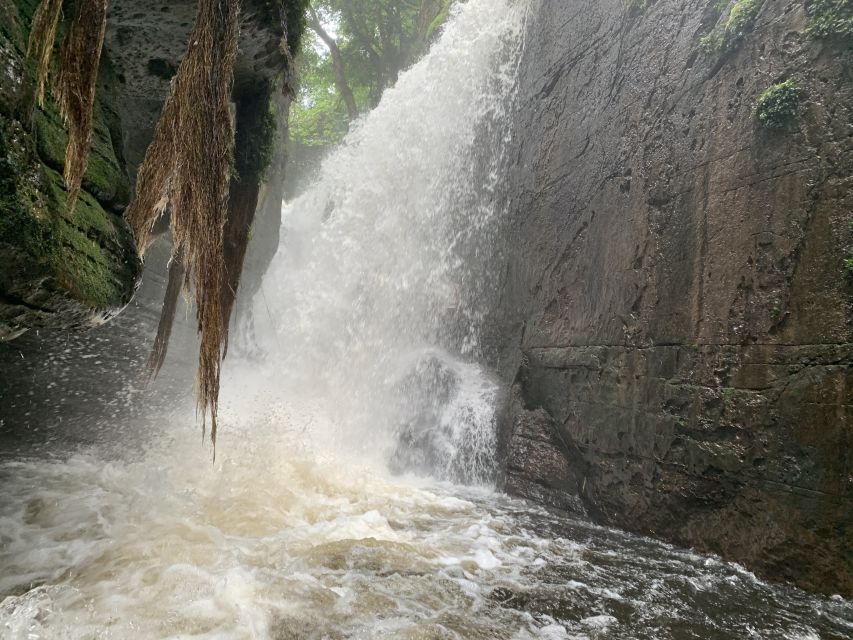 Manaus: Presidente Figueiredo Caves and Waterfalls Tour - Common questions