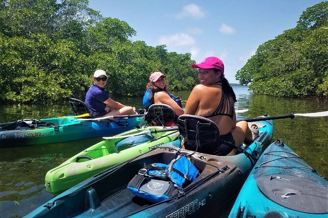 Mangrove Tunnel Kayak Adventure in Key Largo - Tour Details