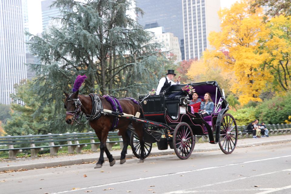 Manhattan: VIP Private Horse Carriage Ride in Central Park - Sum Up
