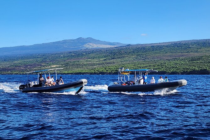 Manta Ray Night Snorkel at Kona, Big Island - Sum Up