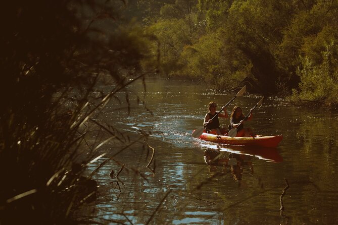 Margaret River Kayaking and Winery Tour - Sum Up