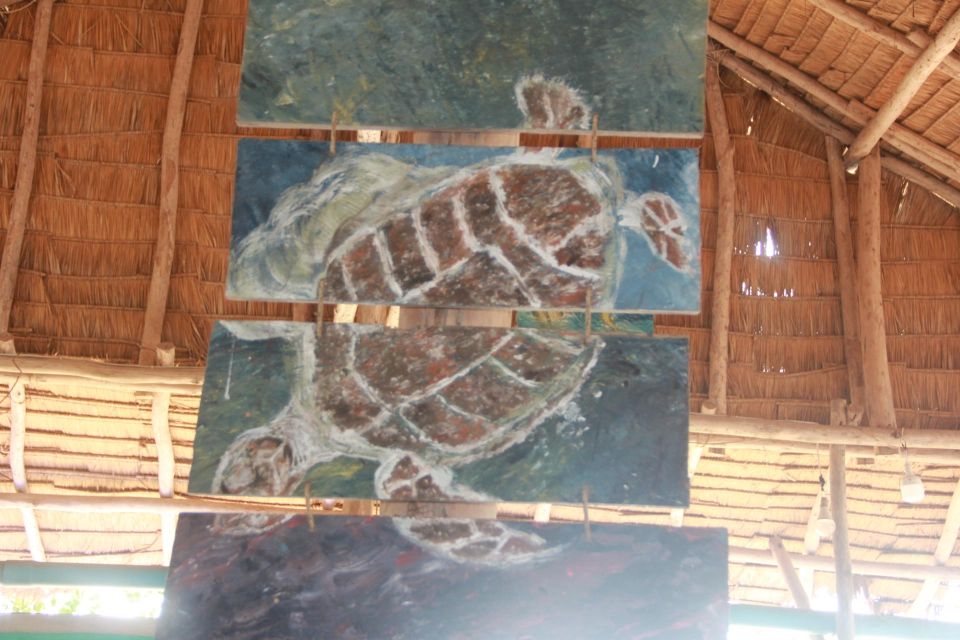 MARINE CONSERVATION INSIGHT by Discovery Center, Kep West - Private Group Setting