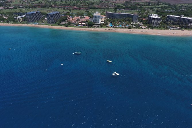 Maui Half-Day Snorkel & Dolphin Tour (Whale-Watching Seasonal) - Common questions