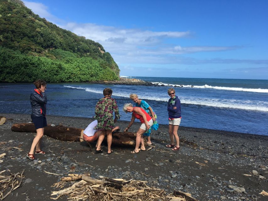 Maui: Road to Hana Private Adventure Tour With Luxury SUV - Live Tour Guide and Pickup