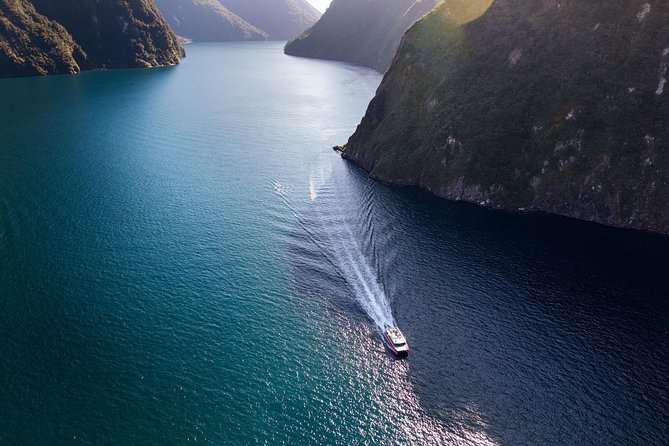 Milford Sound Cruise With Optional Kayak Tour - Wildlife Encounters