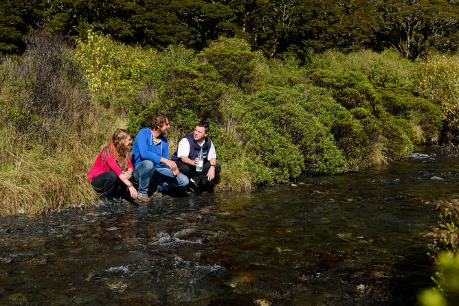 Milford Sound Day Tour and Cruise From Queenstown - Weather and Safety Considerations