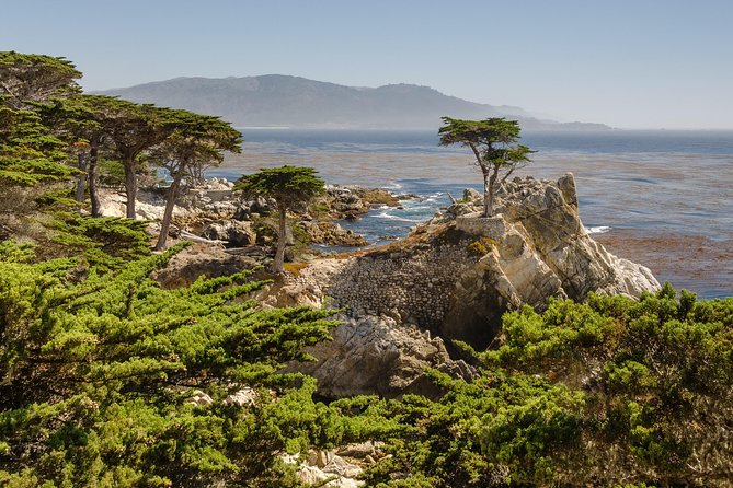 Monterey, Carmel and 17-Mile Drive: Full Day Tour From SF - Sum Up