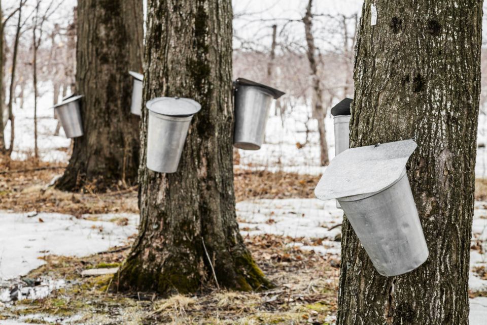 Montreal: Sugar Shack Maple Syrup Day Trip With Lunch - Logistics