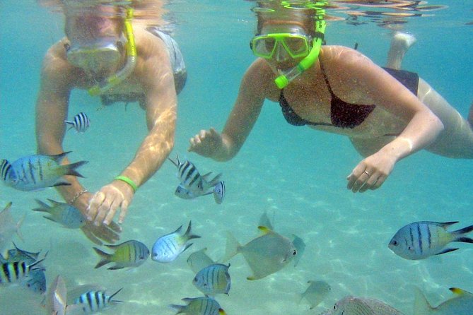 Morning Kayaking and Snorkeling Tour - Common questions