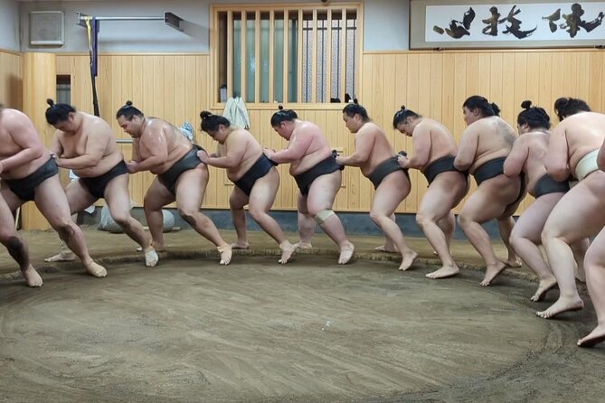 Morning Sumo Practice Viewing in Tokyo - Sumo Practice Viewing Experience