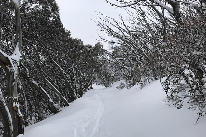 Mount Buller Snow Day Boutique Trip - Max 11 People - Sum Up