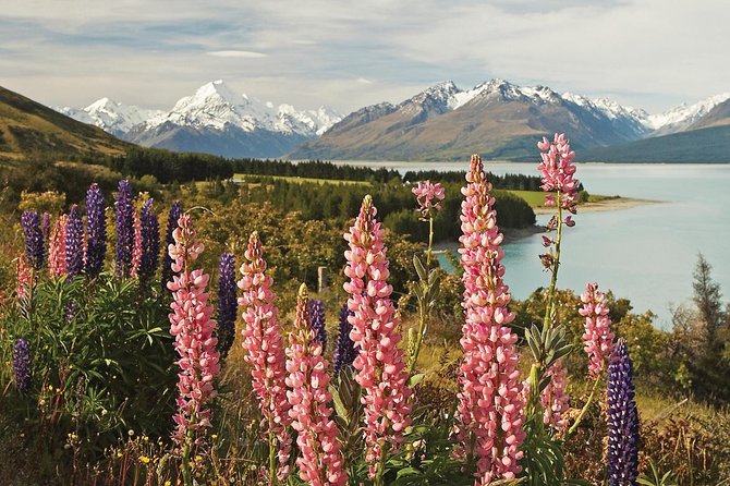 Mount Cook Day Tour From Christchurch - Sum Up