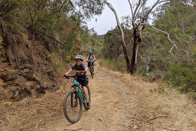 Mount Lofty Descent Bike Tour From Adelaide - Sum Up
