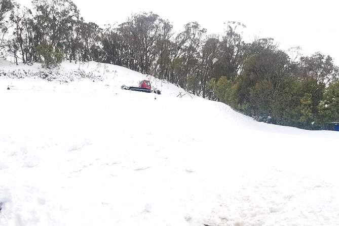 Mt Buller Day Trip From Melbourne - Important Reminders and Tips