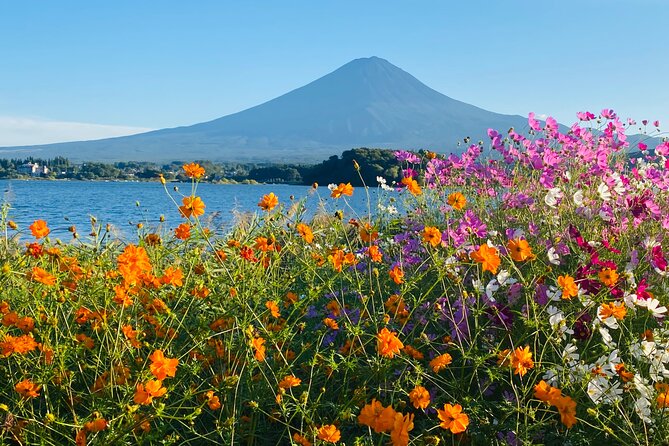 Mt. Fuji Private Sightseeing With Bilingual Chauffeur - Sum Up