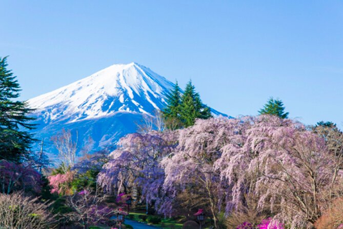 Mt. Fuji's Fifth Station & Lake Kawaguchiko Cycling Tour - Important Reminders