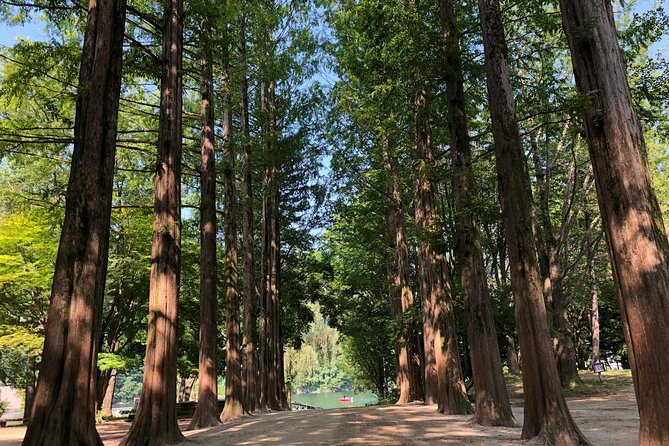 Mt. Seoraknami Islandgarden of Morning Calm Day Trip From Seoul - Sum Up