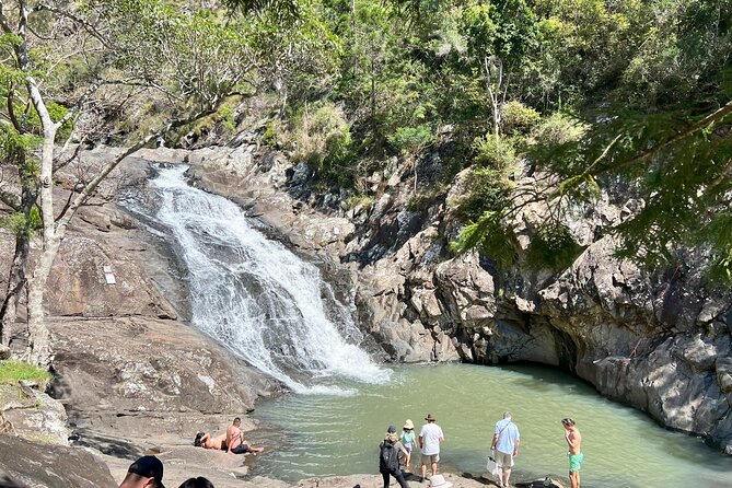 Mt Tamborine 8-hour Guided Tour by Minivan in the Scenic Rim - Sum Up