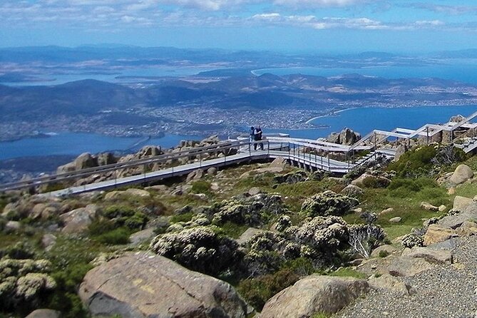 Mt Wellington Tour and MONA Admission - Highlights of Mt Wellington and MONA