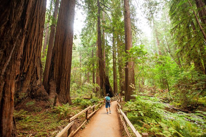 Muir Woods and Sausalito Tour Plus Bay Cruise - Logistics Information