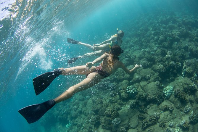 Na Pali Coast Kauai Snorkel and Sail - Customer Reviews and Recommendations