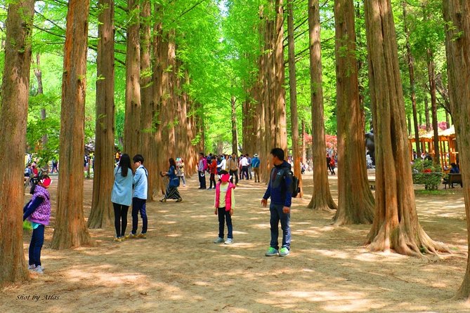 Nami Island and Petite France {Private Day Tour} - Safety and Security Measures