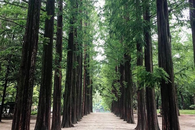 Nami Island & Nearby Attractions : Charter Van Tour With Driver - Contact Information