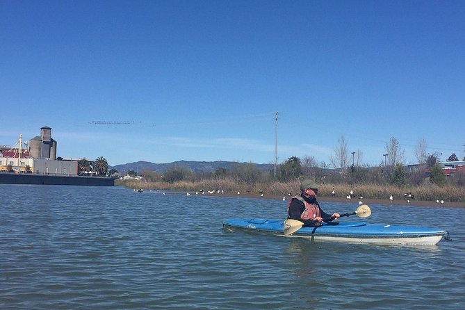 Napa Valley River History Kayak Tour: Single Kayaks - Common questions