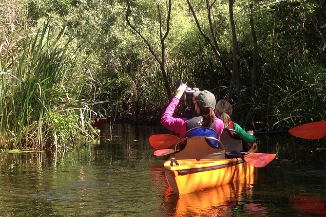 Naples Small-Group Half-Day Everglades Kayak Tour - Tour Highlights