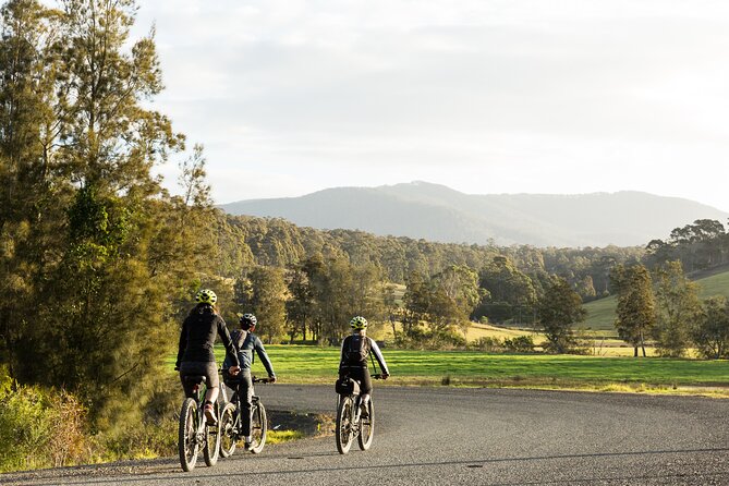 Narooma - E-Bike Hire 2 Hour Rental - Common questions