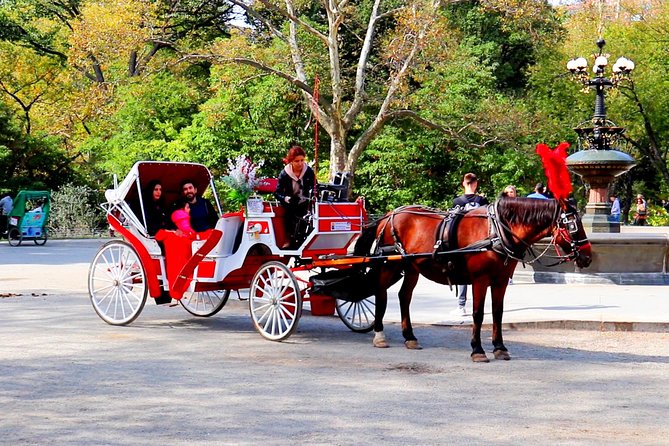 New York City: Central Park Private Horse-and-Carriage Tour - Traveler Feedback