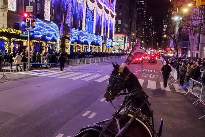 New York City Christmas Lights Private Horse Carriage Ride - Capacity and Tipping Options