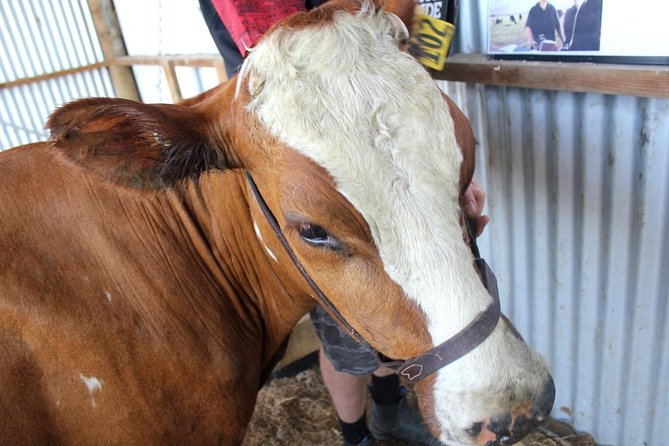 New Zealand Farm & Scenic Day Tour From Christchurch - Booking and Cancellation Policy