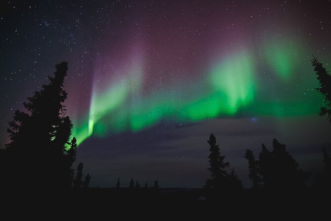 Northern Lights Viewing at Murphy Dome - Common questions