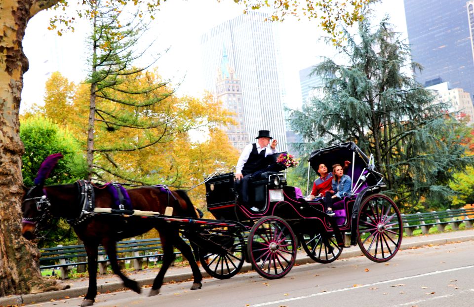 NYC: Central Park Horse-Drawn Carriage Ride (up to 4 Adults) - Sum Up