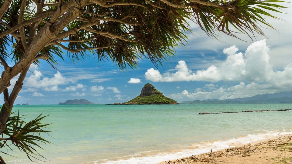 Oahu: Private Custom Island Tour - Contact Information and Support