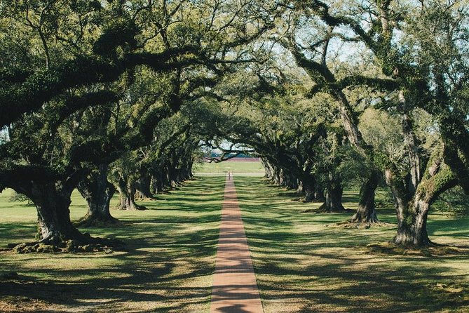 Oak Alley Plantation and Small Airboat Tour From New Orleans - Sum Up