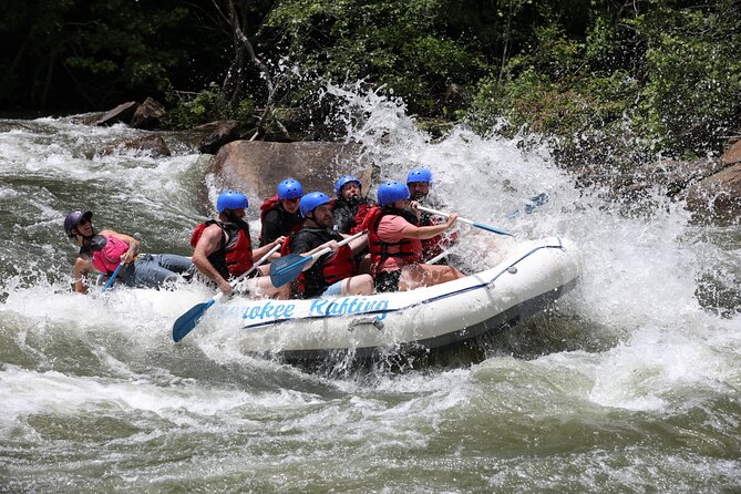 Ocoee River Middle Whitewater Rafting Trip (Most Popular Tour) - Sum Up