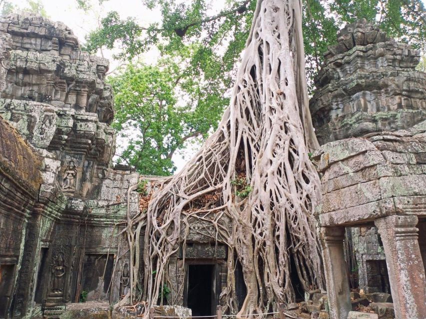 One Day Temple Tour to Angkor Wat, Angkor Thom & Taprohm - Common questions