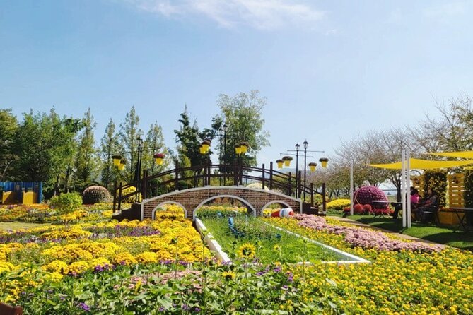 One Day Tour in Boseong Tea Plantation & Suncheon National Garden - Return Journey